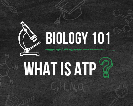 Science Iconography Drawn on Chalkboard With Biology 101 and What Is ATP? Written on It