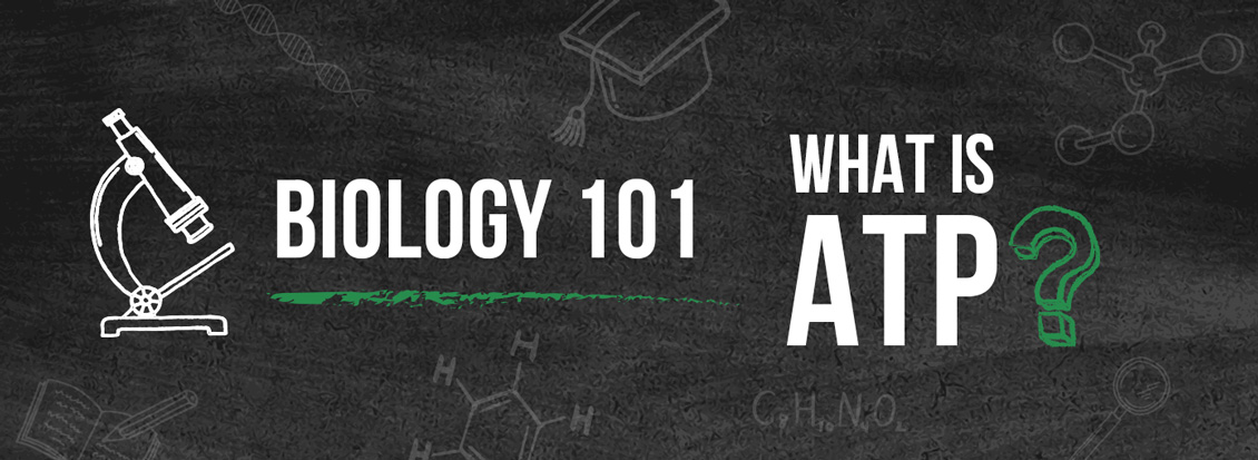 Science Iconography Drawn on Chalkboard With Biology 101 and What Is ATP? Written on It