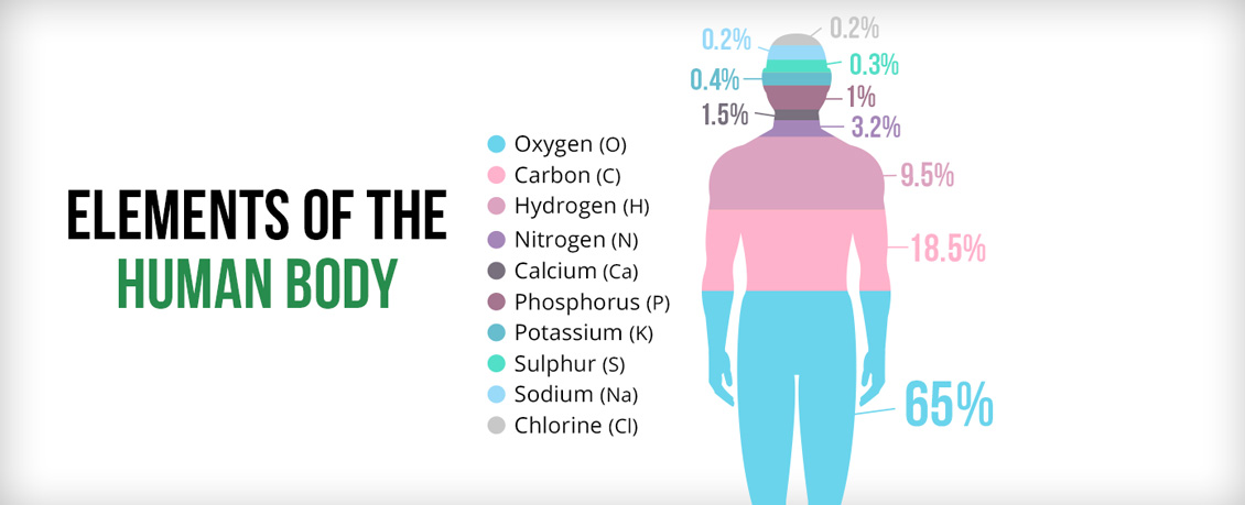 The Elements Of The Human Body Depicted by Colorful, Stacked Percentages
