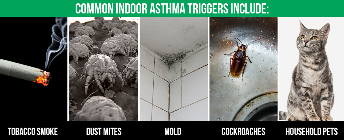 Image of a Cigar on the Left, Then Dust Mites, Mold, a Cockroach, and a Cat, as Common Asthma Triggers