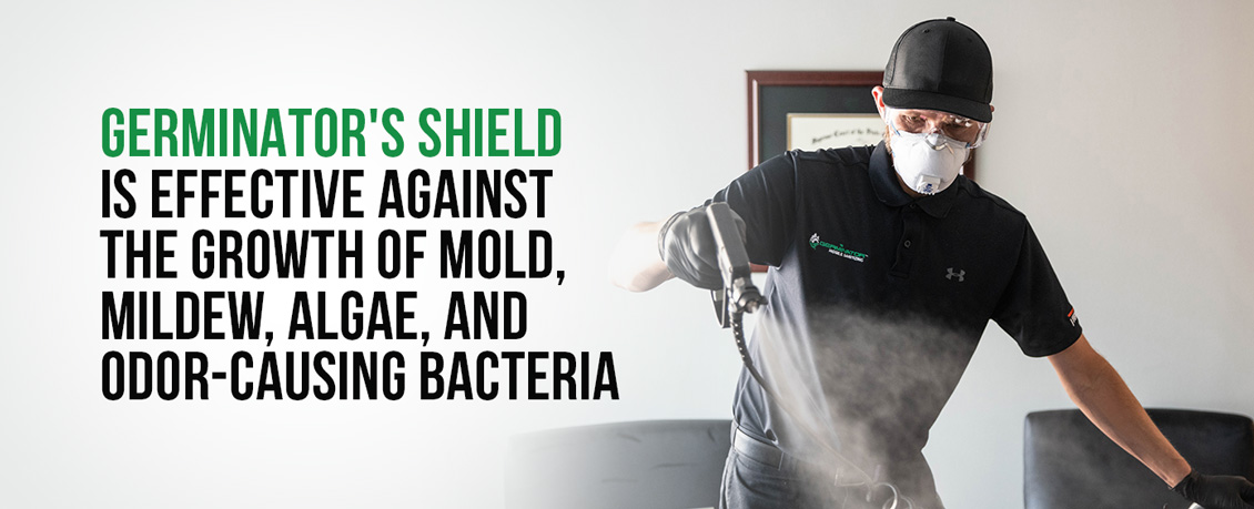 Germinator Technician Applying Our Shield Solution That Is Effective Against Mold Growth