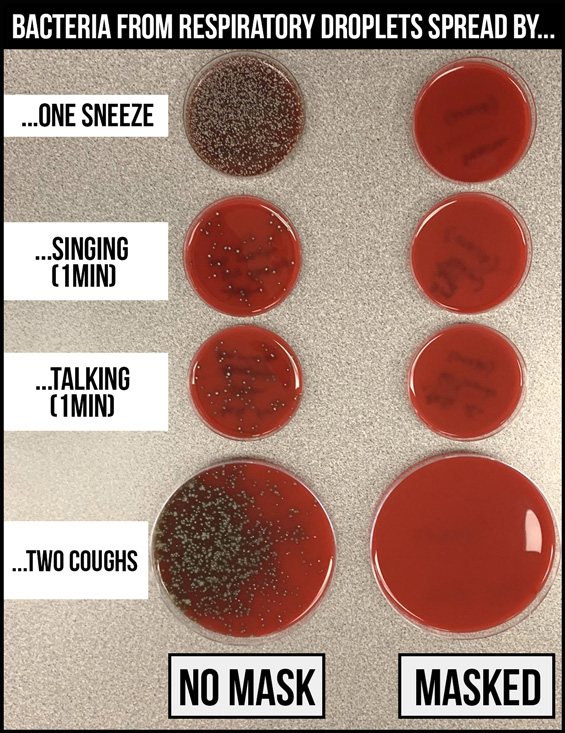 Several Petri dishes showing bacteria when you don't wear a mask and uncontaminated ones when you do