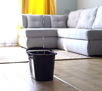 A leaking Roof With a Bucket Underneath the Leak. Keeping Homes Dry Is Part Of A Healthy Home