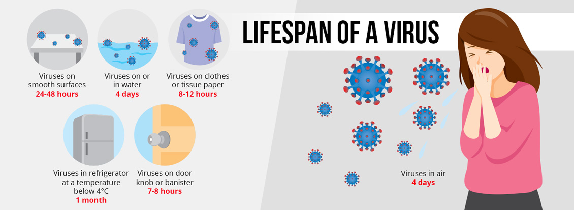 Viruses Can Live On Various Surfaces For A Lengthy Amount Of Time And Survive In The Air Up To 4 Days