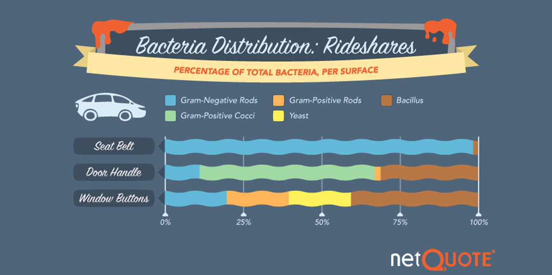 NetQuote's Image on Bacteria Distribution in Rideshares