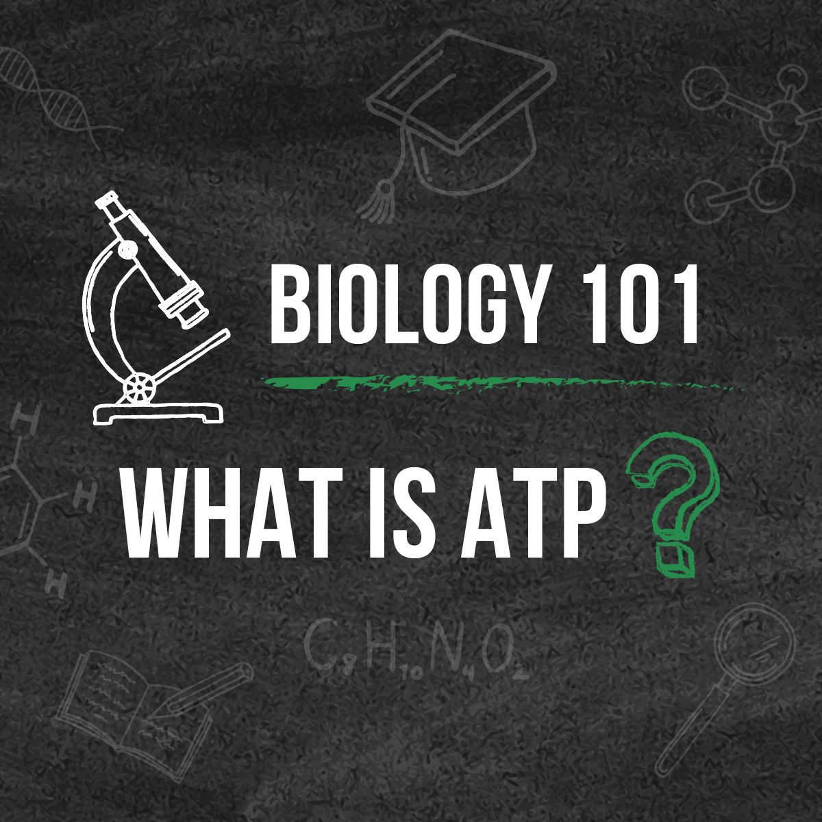 Biology 101 What is ATP?