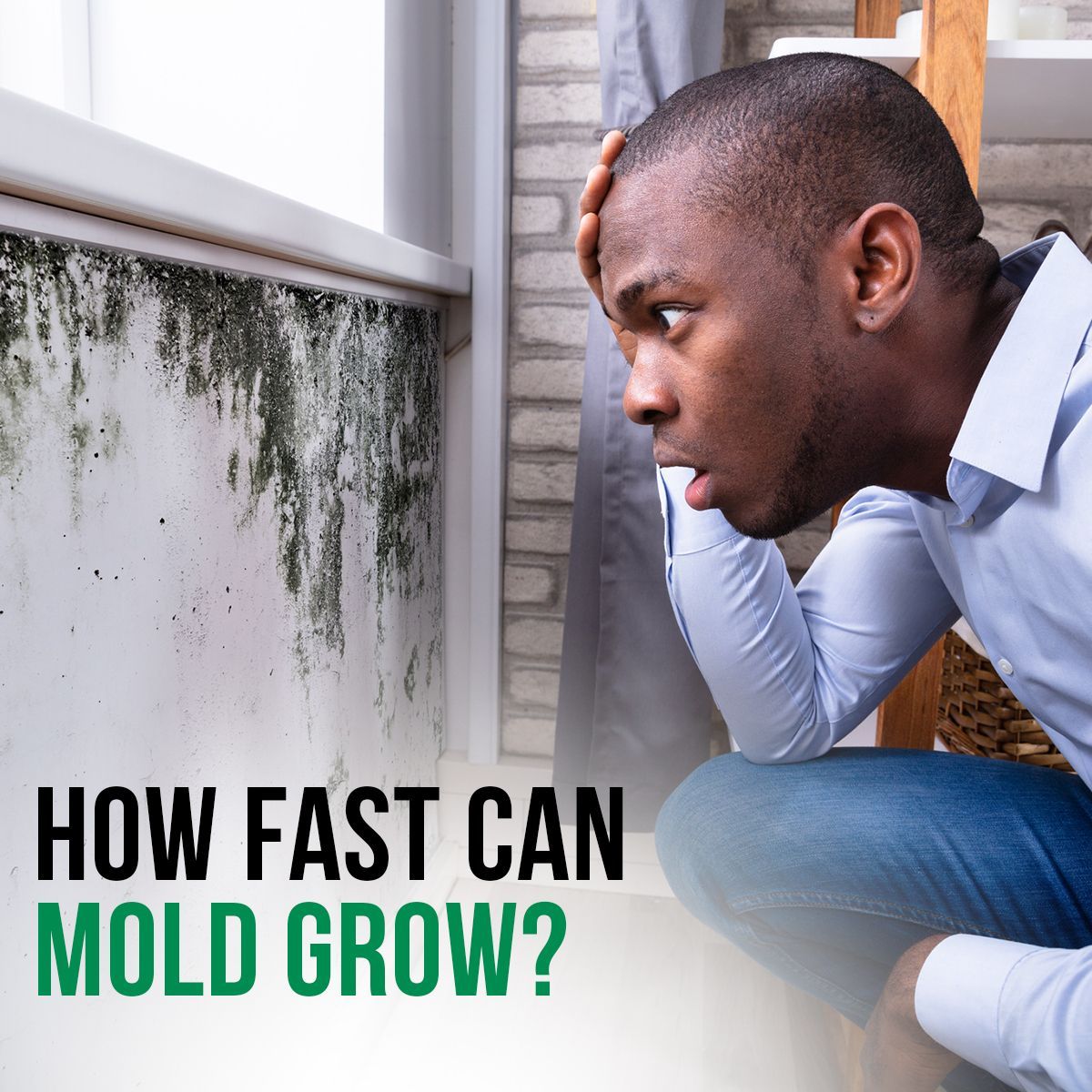 How Fast Can Mold Grow?