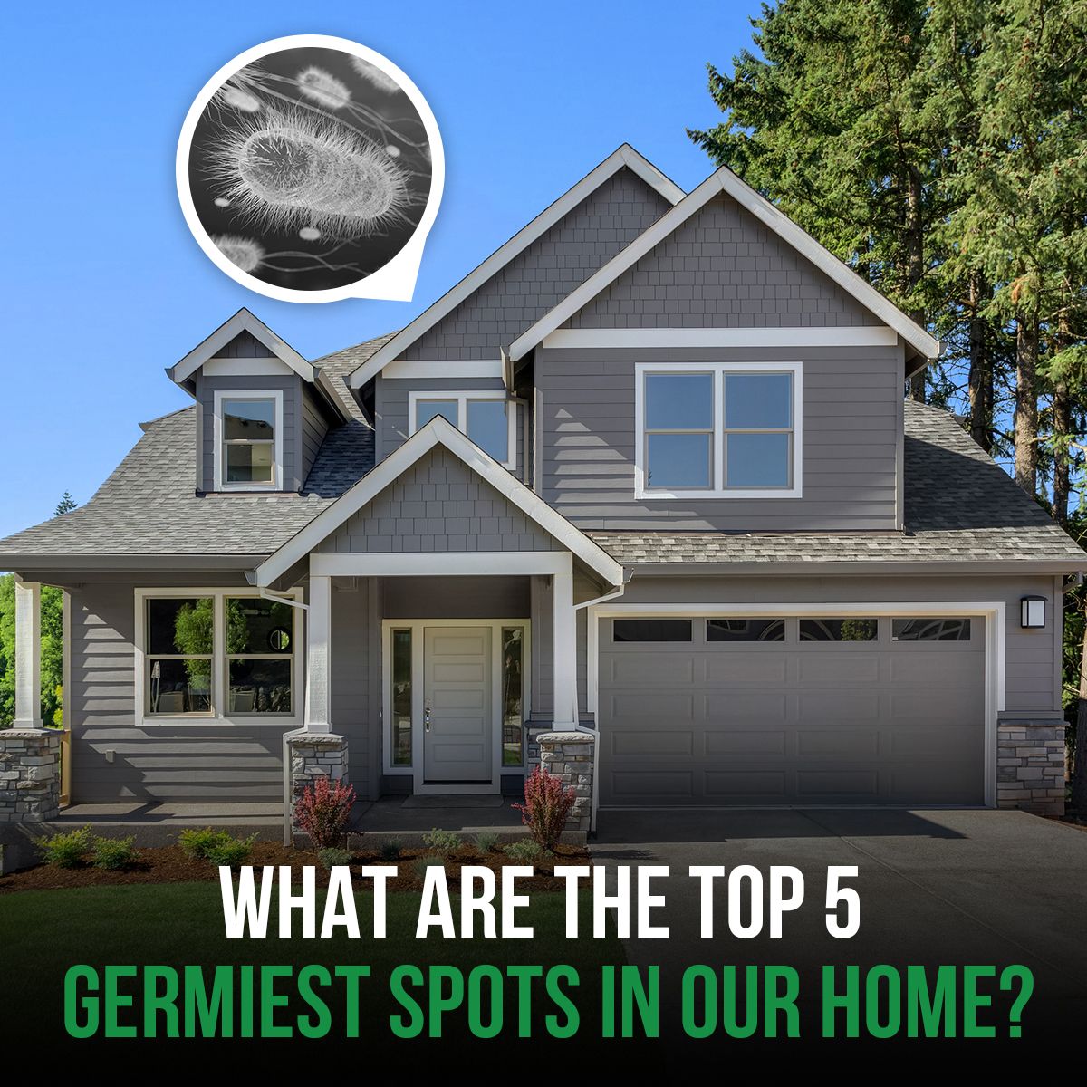 What Are the Top 5 Germiest Spots in Our Home?