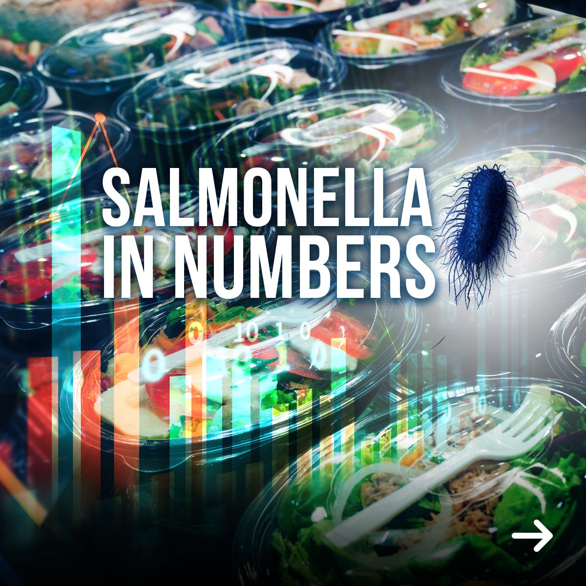 Salmonella 🦠 in Numbers