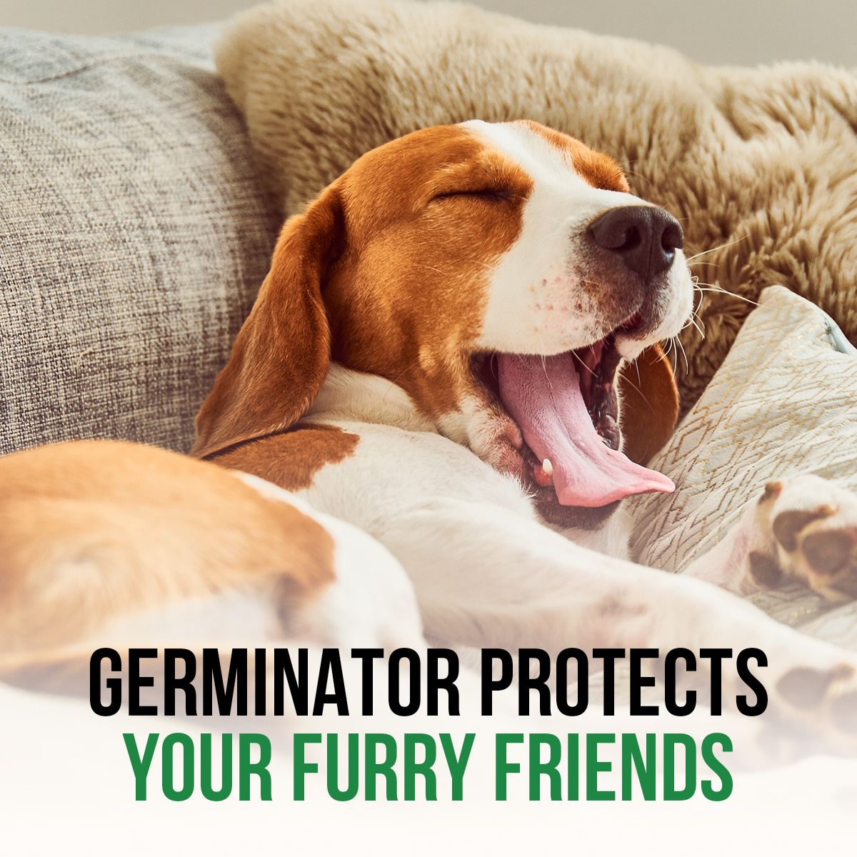 Germinator Protects Your Furry Friends