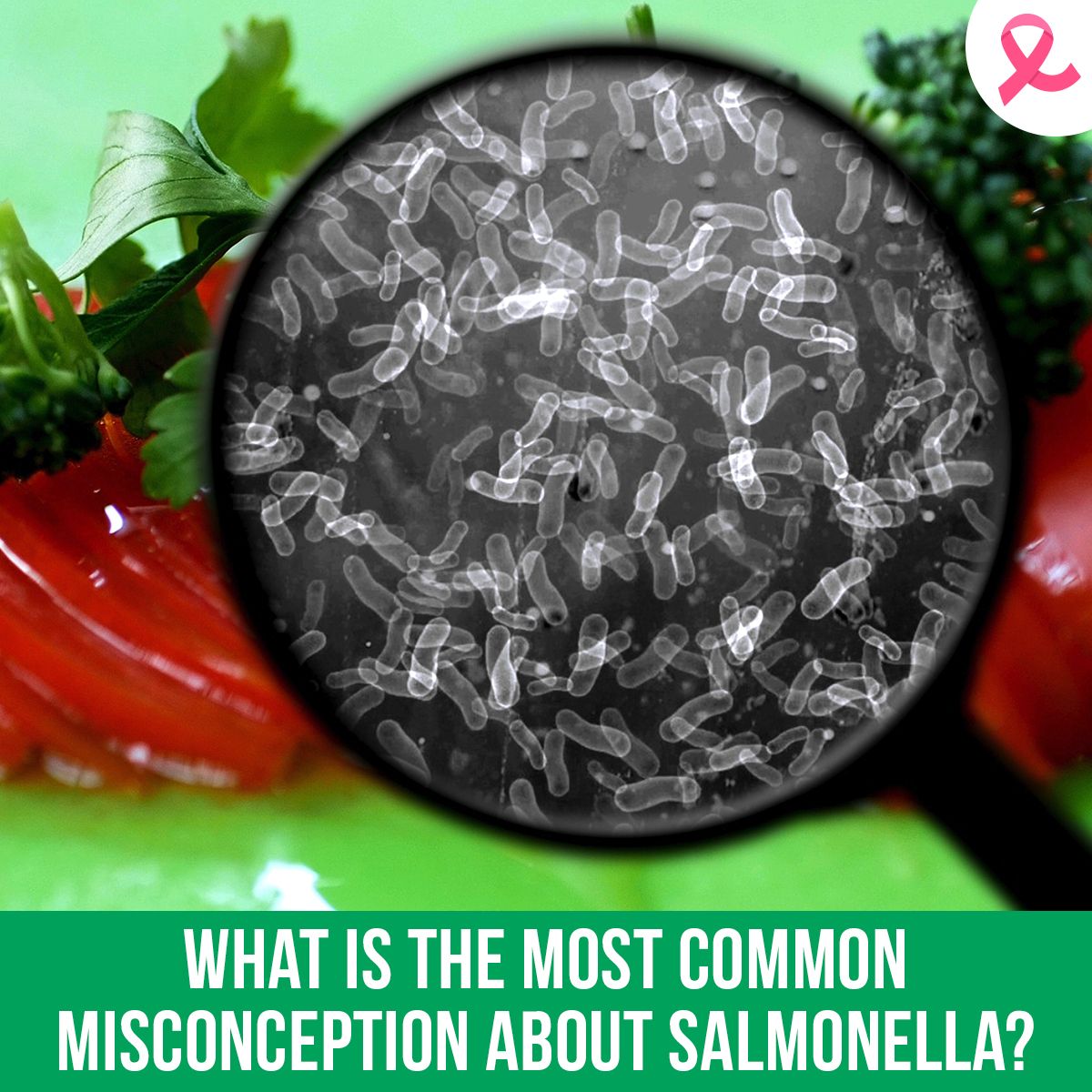 What Is the Most Common Misconception About Salmonella?