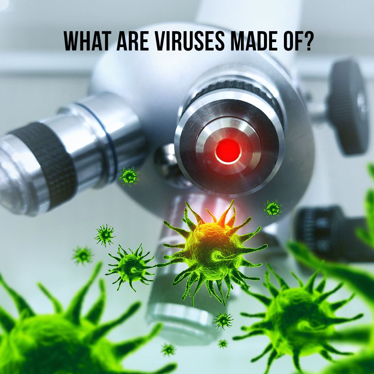 What Are Viruses Made Of?